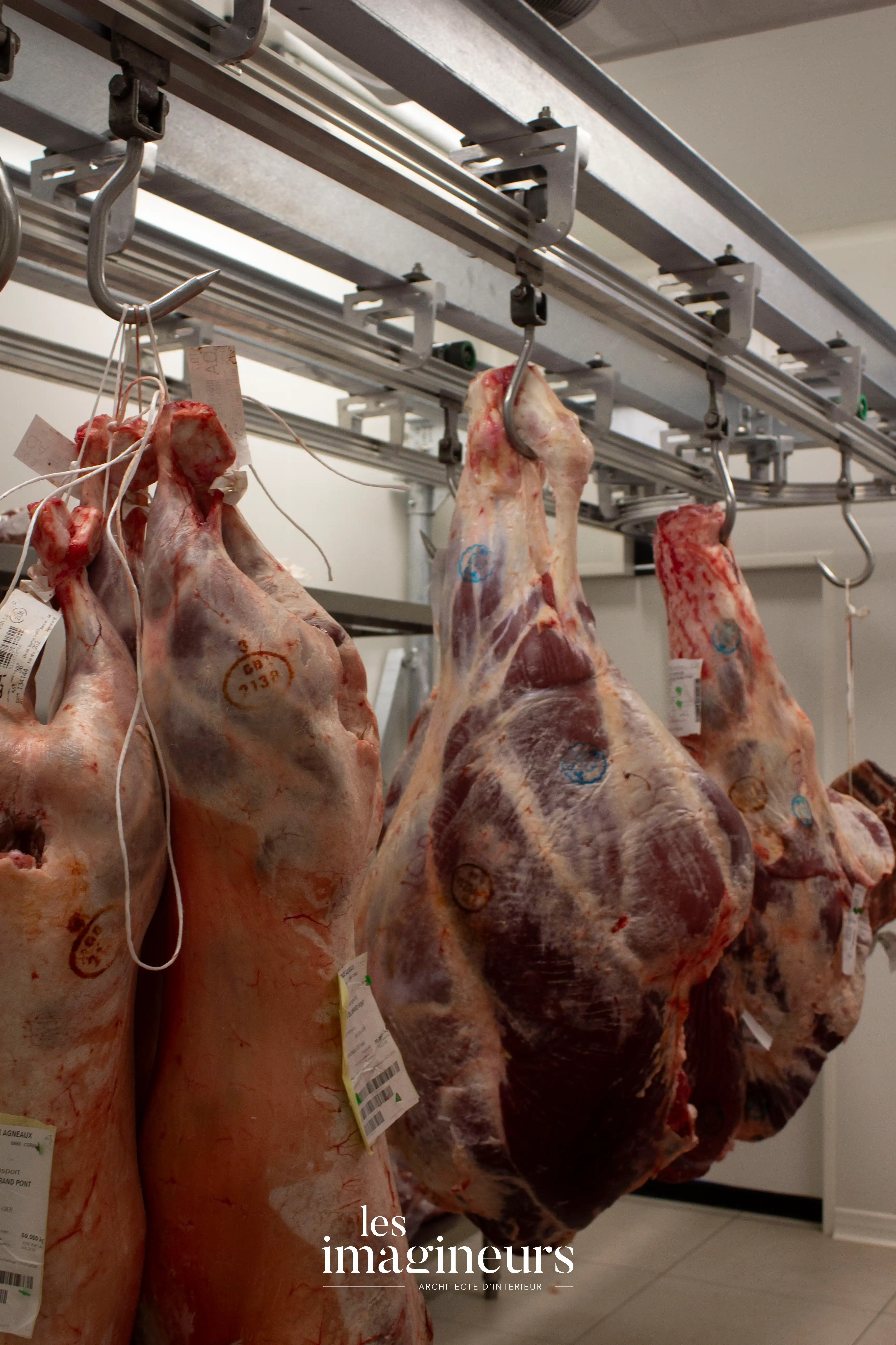 Projet Boucherie